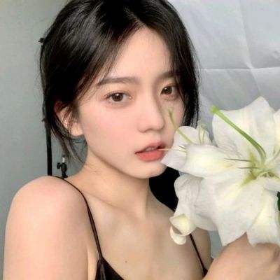动物朋友王国测试服下载